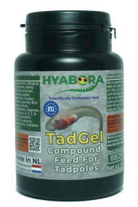 Tadgel, No BG
